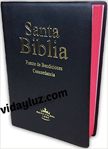 download la biblia reina valera 1960